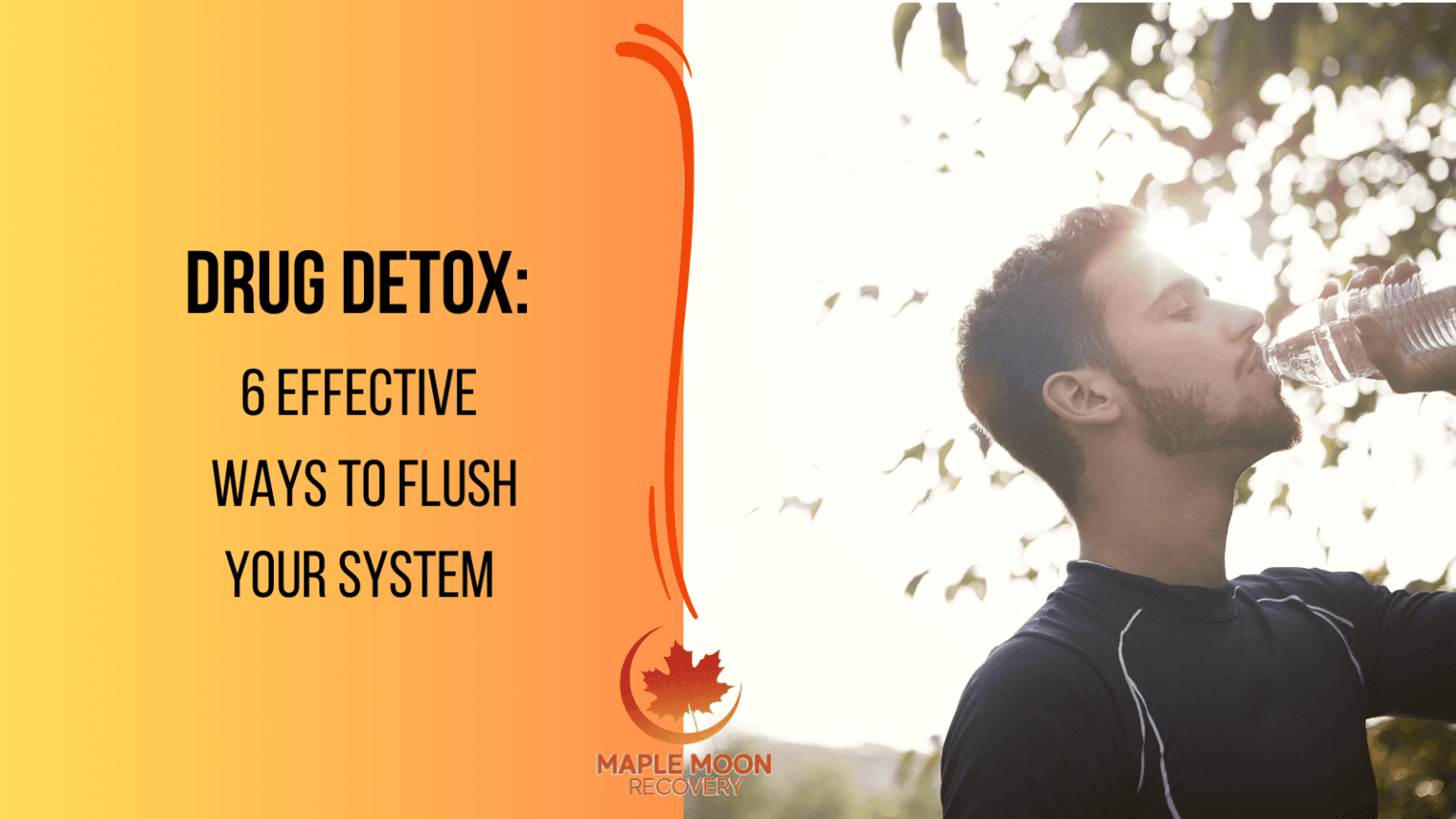 DrugDetox-1536x864.png